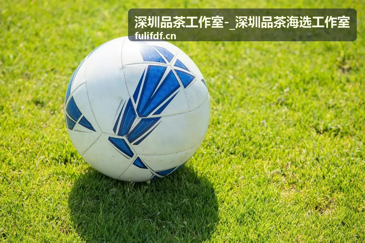 深圳品茶工作室深圳品茶海选工作室品茶指南封面
