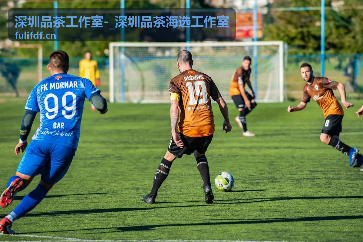 深圳品茶工作室品茶入门指南封面
